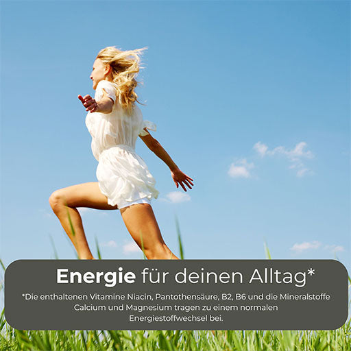 Hansepharm - Power Protein Plus - 750 g, saveur vanille