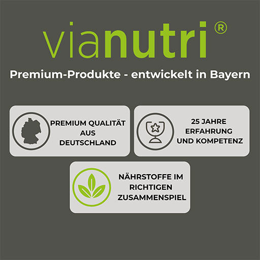 Hansepharm - Power Protein Plus - 750 g, saveur vanille