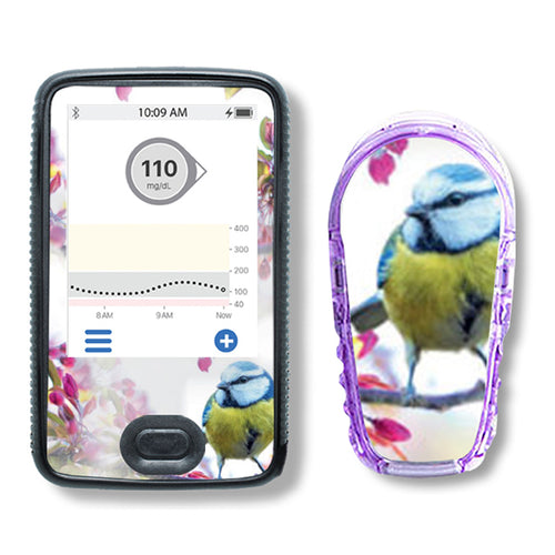 Dexcom G6 Sticker Set "Springbird"