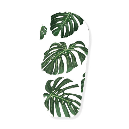 Dexcom G6 Sticker "Monstera"