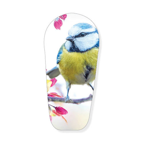 Dexcom G6 Sticker "Spring Bird"