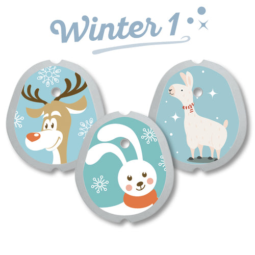 Dexcom G7 Sticker "Winter 1"