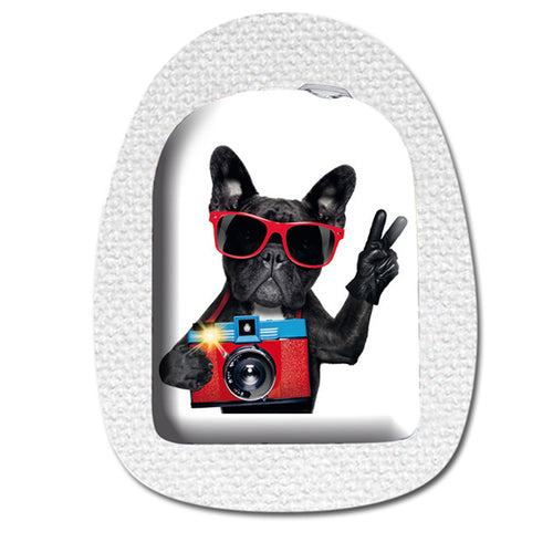 Omnipod 5 + DASH Sticker "Cool Dog"