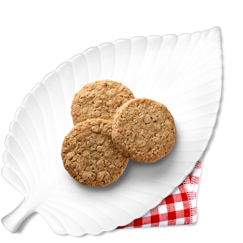 Oat biscuits with chocolate - only 2g carbs/biscuit 125g