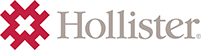 Hollister Incorporated Niederlassung Deutschland